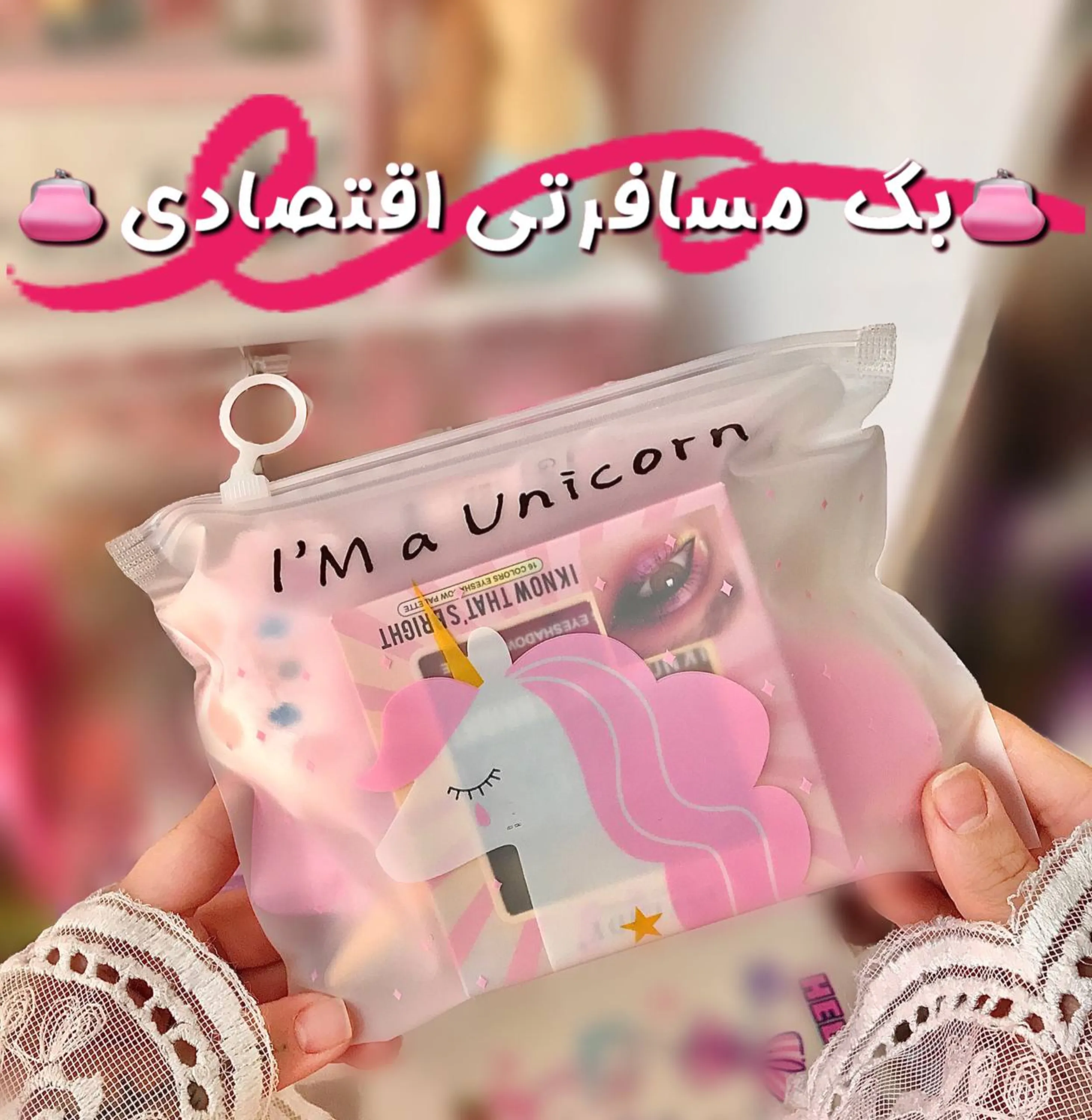 بگ مسافرتی اقتصادی